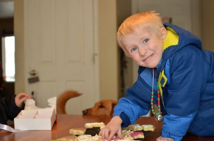 a boy taking a homemade cookie from a plate
